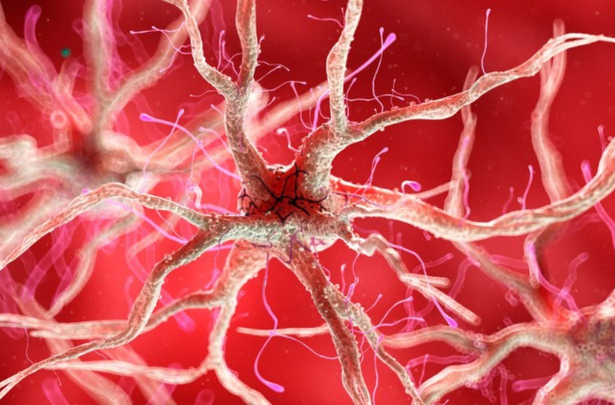 La Ínsula como protagonista para generar autenticidad en el voiceover